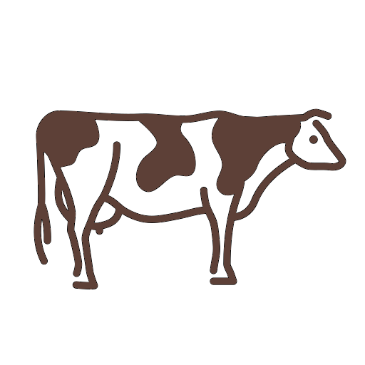 Büyükbaş Kurban Hisse