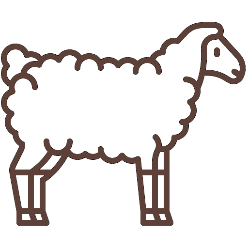 Küçükbaş Kurban Kesimi